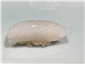 cuttlefish sushi